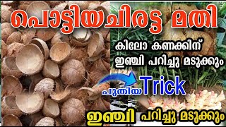 ചിരട്ട കളയണ്ട ഇഞ്ചി പറിച്ചാൽ തീരില്ല enji nadal poppy happy vlogsmalayalam [upl. by Annabela6]