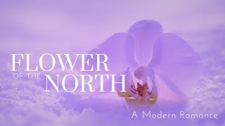 Flower of the North  Dark Screen Audiobooks for Sleep [upl. by Trembly197]