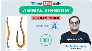 Animal Kingdom  L4  Aschelminthes  Unacademy NEET  NEET LIVE DAILY  NEET Biology  Sachin Sir [upl. by Laenahtan]