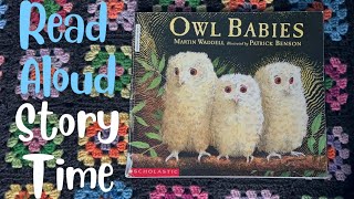 Owl Babies  Read Aloud Story Time  Children’s Books  Preschool StoryTime [upl. by Attevad]