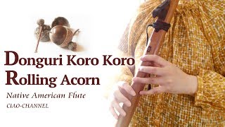 Donguri Koro KoroRolling Acorn Native American Flute  Japanese song [upl. by Eselehs428]