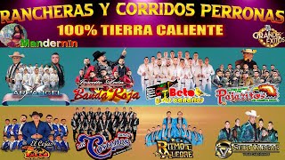 Mega Mix Corridos Tierra Caliente  Banda Los Costeños Banda Roja Los Pajaritos De Tacupa [upl. by Zaria]