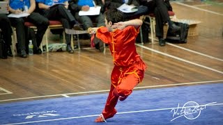 THE BEST OF WUSHU WEAPONS [upl. by Muhcon789]