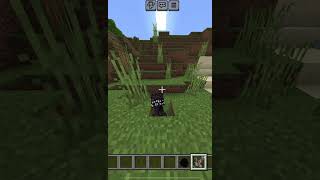 Leveling monster opening in minecraft mod [upl. by Raff]