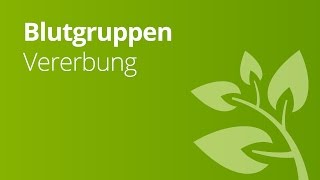 Blutgruppen AB0 und Rhesusfaktor und ihre Vererbung  Biologie  Genetik und Entwicklungsbiologie [upl. by Damita]