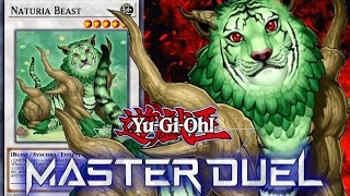 NEW TIER 1 NATURIA BEAST DECK COMBOS AND GAMEPLAY  Insane Floodgate Deck  YuGiOh Master Duel [upl. by Danie]