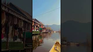 👀❤️ kashmir jammu boat lake viralvideo nature kashmirheaven travel kashmirdairies [upl. by Nyleuqaj]