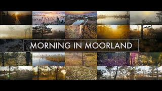 Morning in Moorland Ķemeri National park [upl. by Motteo]