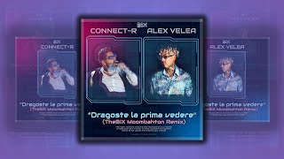 AlexVelea❌ConnectR Dragoste la prima vedere Visualizer Alovski Moombahton Remix [upl. by Gnihc]