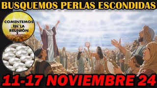 Comentarios de las Perlas Escondidas de Esta Semana 1117 noviembre 2024 [upl. by Ahseila]