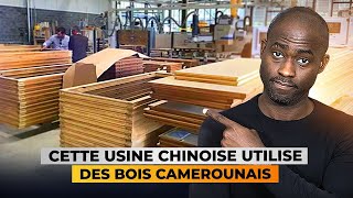 Choqué Regardez ce que les Chinois font du bois Camerounais [upl. by Elie467]