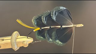 Live classic salmon fly tying tying Trahernes Black Prince part 1 [upl. by Adlin]