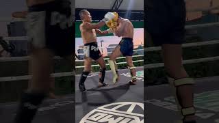 Saenchai Vs NongO Muaythai sparing [upl. by Gnilrets397]