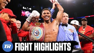 Shakur Stevenson Best Performance of Young Career Finishing Herring by TKO to Win Belt  HIGHLIGHT [upl. by Jodie]