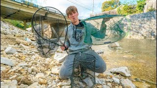 Creek Fish Trapping Battle Which Traps Catches the Most Fish [upl. by Ilil]