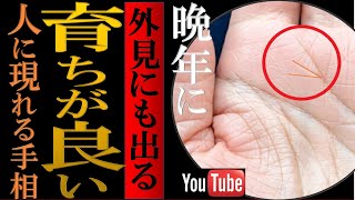 【手相】⚠️見た目にも現れる！育ちがいい人の晩年幸福手相トップ３ [upl. by Kcarb]