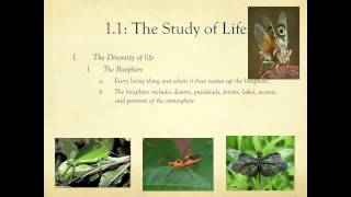 The study of Life  Biology [upl. by Findley]