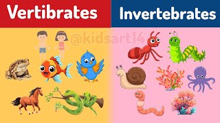 Vertibrates and Invertebrates  Classifying Vertebrates and Invertebrates  Educational videos [upl. by Laroc]