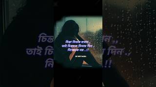 চিন্তা চিতার সমান status viralvideo tending kobita shayari [upl. by Refinney]