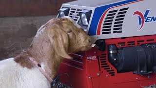 GOAT vs Spokes Person  Ventrac MMM [upl. by Alram]