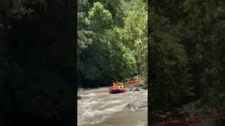 white water rafting at ayung river traveladventurebalitourbalitripboatvlogbeautifulbalitravel [upl. by Sherourd913]