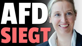 💥AfD SIEGT vor GERICHT gegen GRÜNE💥 [upl. by Heaps]