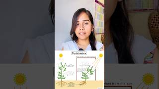 Phototropism  hydrotropism  geotropism  thigmotropism  chemotropism shorts growth youtube [upl. by Enileuqkcaj793]