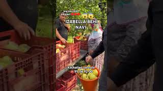 Izabella bexi kochatlari sotuvda 91 1169200 top avto rek rekk keşfet fruit baki funny smart [upl. by Lleira]