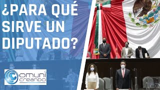 FUNCIONES DE UN DIPUTADO FEDERAL 🇲🇽 [upl. by Puett]