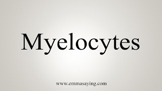 How To Say Myelocytes [upl. by Ahon]