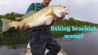 Bass fishing brackish water Ep 4 [upl. by Maller]