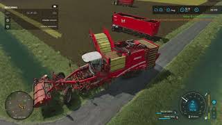 Verder met aardappels rooien en populieren hakselen  Farming Simulator 22 Dutch Polder 42 [upl. by Carlie]