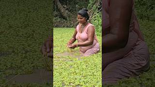 Amazing Village Women net fishing shorts fishing reels [upl. by Kahle614]