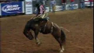 Saddle Bronc Riding  HRS Rodeo [upl. by Lipinski141]