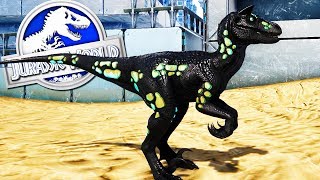 CARNORAPTOR NEGRO NUEVO DINOSAURIO HÍBRIDO CARNÍVORO DEPREDADOR JURASSIC WORLD 2 Ark [upl. by Aliza68]