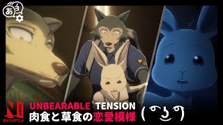 Hal amp Legoshi Will They or Wont They NSFW  BEASTARS  Netflix Anime [upl. by Shue]