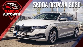 So viel Skoda Octavia Combi 2020 bekommst IHR für 46596 €  Review Fahrbericht [upl. by Aliled]