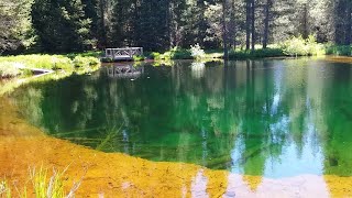 At Little Crater Lake Oregon  Always Ants [upl. by Ythomit316]