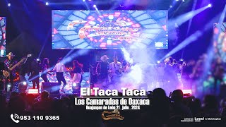 Los Camaradas de Oaxaca  El Taca Taca En Vivo Huajuapan 2024 [upl. by Milburn]