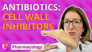 Antibiotics Cell Wall Inhibitors  Pharmacology  Immune System  LevelUpRN [upl. by Per]