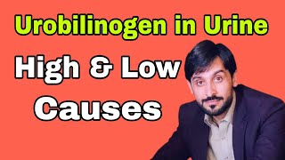 Urobilinogen in Urine  Causes  Reference Range  MLT Hub with kamran [upl. by Gaylene]