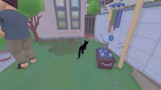 Little Kitty Big City Walkthrough Part 1 Bring Crow 25 Shinies 1080p60 [upl. by Lisle26]