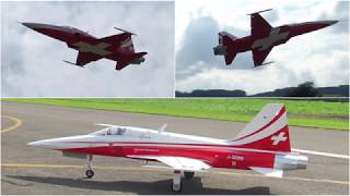 RC Tiger F5 Patrouille Suisse RC Turbine Scale Model Jet Aerobatic [upl. by Yrian]