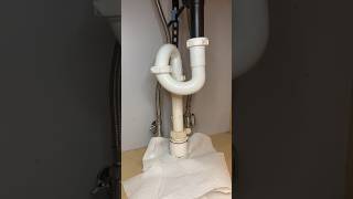 Removing ILLEGAL S Trap Bathroom Sink Drain Replacement shorts plumber plumbing asmr [upl. by Danella]