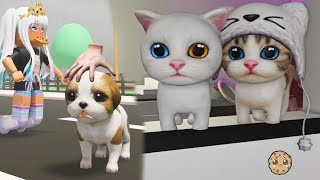 Pet Party Roblox Puppy Kitten House [upl. by Dewayne]