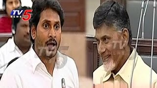 Chandrababu Naidu Laughs Over YS Jagan Speech In AP Assembly Sessions  TV5 News [upl. by Ecinaej827]