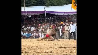 Jassa Patti vs Pritpal Phagwara Kushti 2023 [upl. by Yarg]