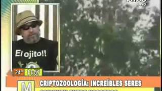 SALFATE  Criptozoología Increíbles seres viven entre nosotros Parte13 [upl. by Eldorado707]