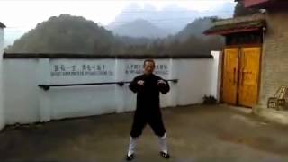 Wudang Taoist Tai Chi 28 Forms [upl. by Rockie929]