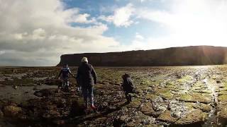 Saltburn Beach Rockpooling  GoPro [upl. by Lemmy]